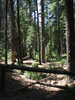 p01.jpg