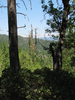 p06.jpg