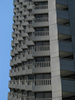 p21.jpg
