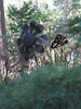 p06.jpg