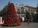 p013.jpg