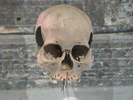 p15.jpg