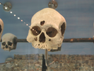 p16.jpg