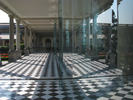 p63.jpg