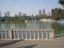 p74.jpg
