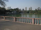 p75.jpg