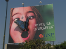 p07.jpg