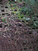 p38.jpg