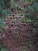 p39.jpg