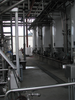 p53.jpg