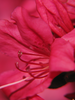 p48.jpg