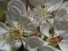 p56.jpg