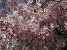 p61.jpg