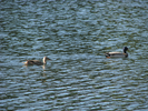 p47.jpg