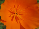 p94.jpg