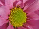 p03.jpg