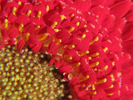 p05.jpg