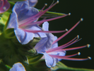 p17.jpg