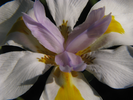 p48.jpg