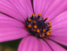 p56.jpg