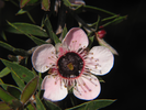 p61.jpg