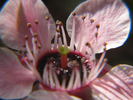 p62.jpg