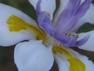 p63.jpg