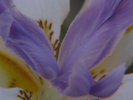 p65.jpg