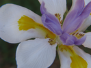 p67.jpg