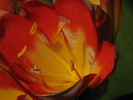 p69.jpg