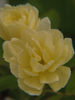 p76.jpg