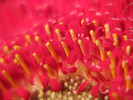 p78.jpg