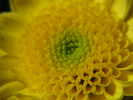 p79.jpg