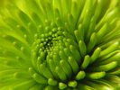 p80.jpg