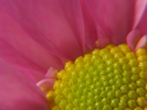 p85.jpg