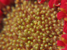 p86.jpg