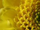 p87.jpg