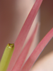 p88.jpg