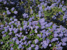 p96.jpg