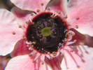 p01.jpg