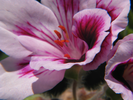 p23.jpg