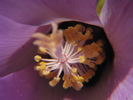 p43.jpg
