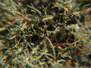 p46.jpg