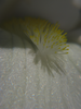 p015.jpg