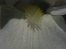 p016.jpg