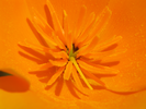 p023.jpg