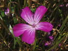 p056.jpg