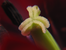 p067.jpg
