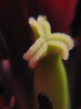 p069.jpg