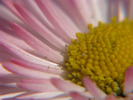 p098.jpg